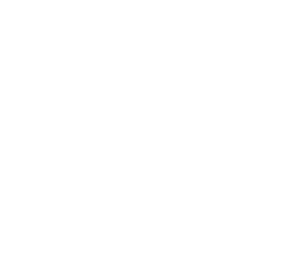 Logotipo Puerta Bernina